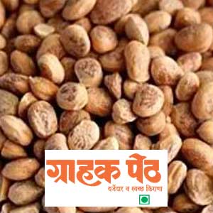 Chironji (Charoli) 250 GM (1)