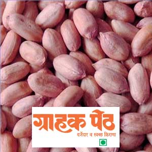 Gujrat Shengdane (Groundnut) 1 KG (1)