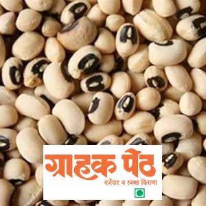 Chawli Jad /Big Lobiya 500 GM (1)